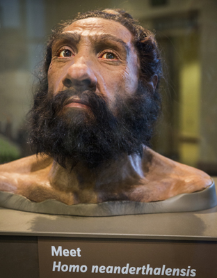 Neanderthals Are Back Facebook Page Grows Rapidly & Inspires Many ...